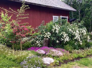 Фото Отели типа «постель и завтрак» Savikulma B&amp;B г. Mynämäki 5